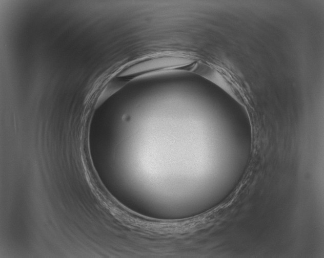 X0000083990001200702232123