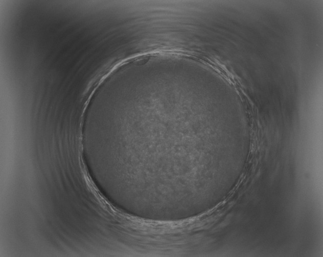 X0000083990002200702232123