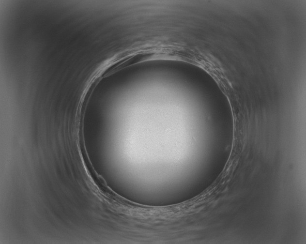 X0000083990003200702232123