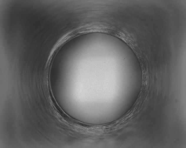 X0000083990004200702232123