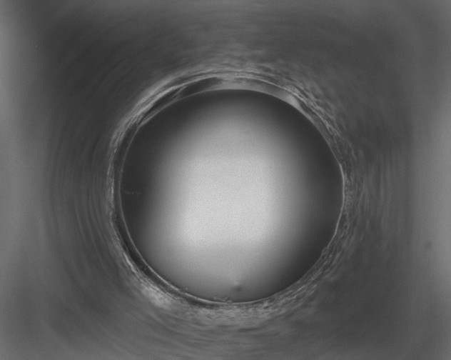 X0000083990005200702232123