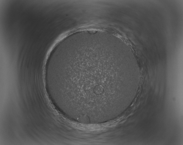 X0000083990006200702232123