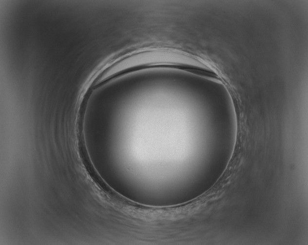 X0000083990007200702232123