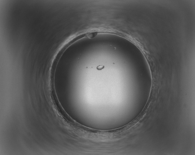 X0000083990008200702232123