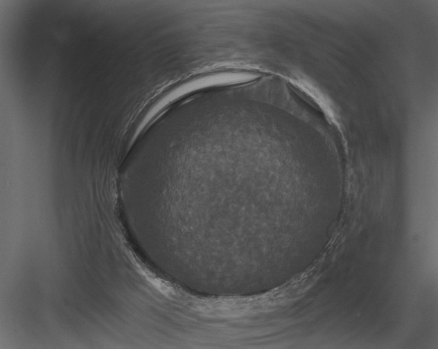 X0000083990009200702232123