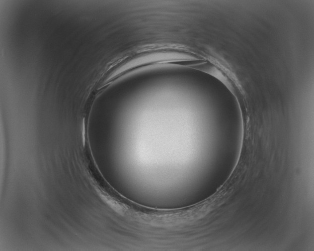 X0000083990013200702232123