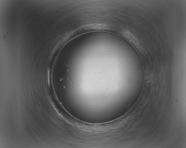 X0000083990014200702232123