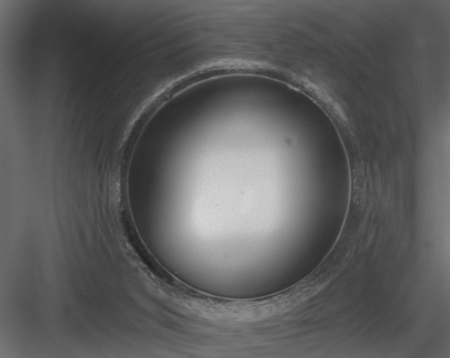 X0000083990015200702232123