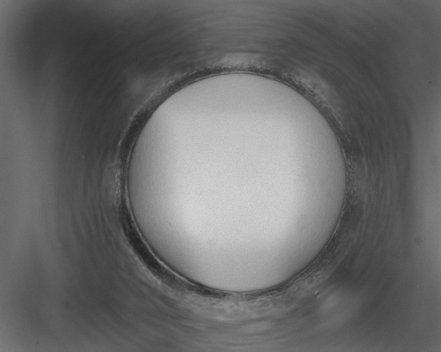 X0000083990016200702232123