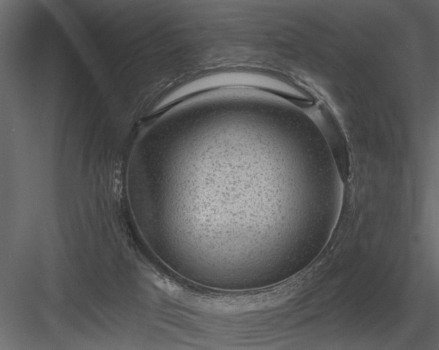 X0000083990017200702232123