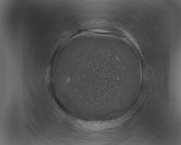 X0000083990018200702232123