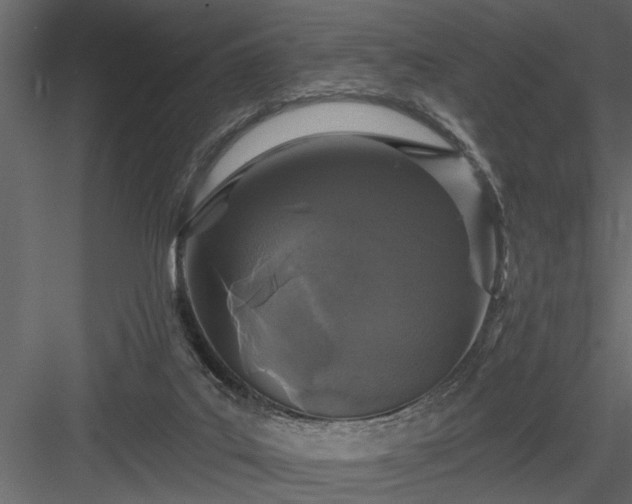 X0000083990019200702232123