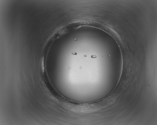 X0000083990020200702232123