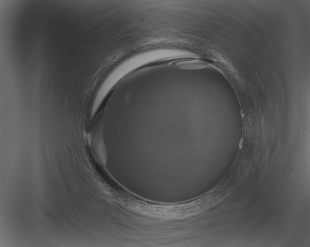 X0000083990023200702232123