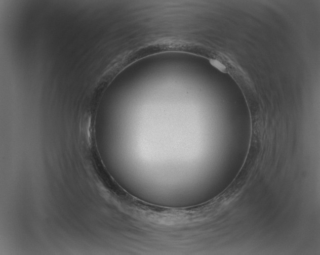 X0000083990024200702232123