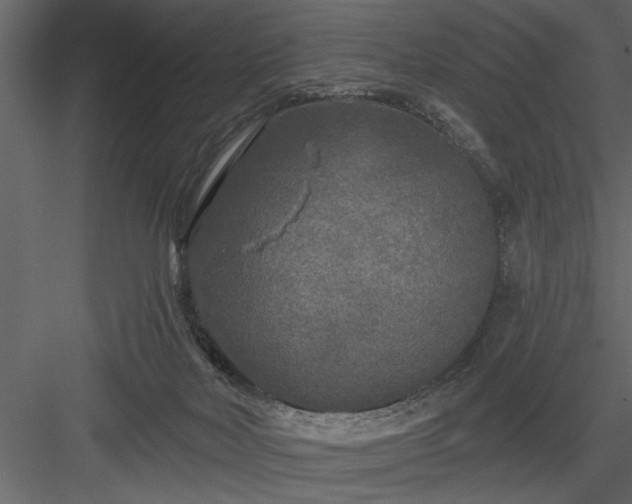 X0000083990026200702232123