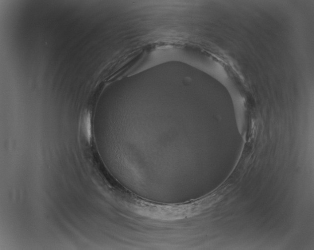 X0000083990027200702232123