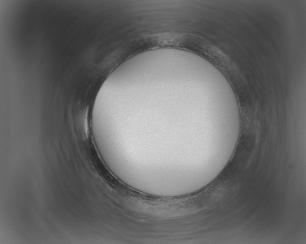 X0000083990028200702232123