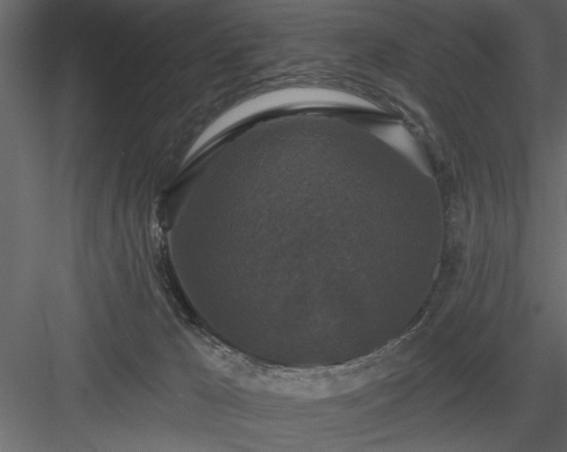 X0000083990029200702232123