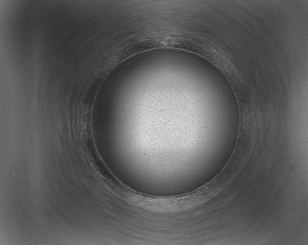 X0000083990030200702232123