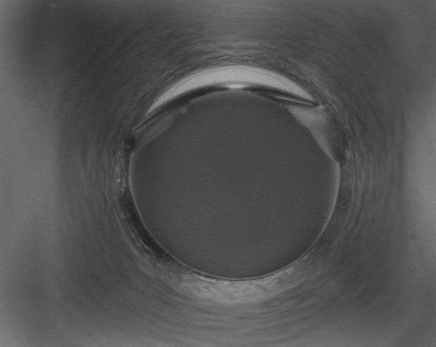 X0000083990031200702232123