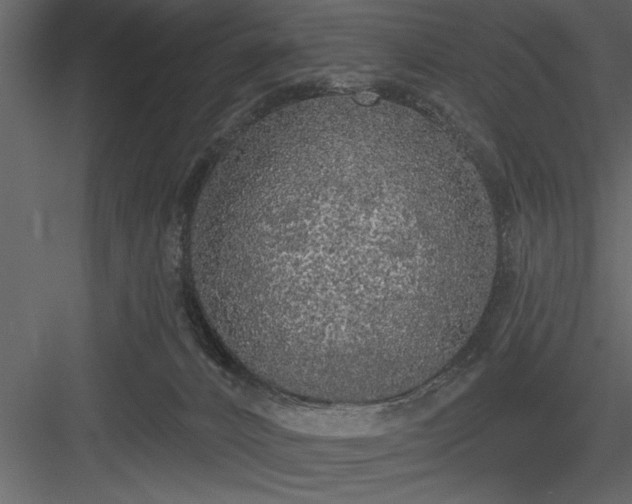 X0000083990032200702232123