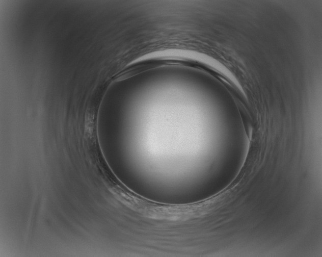 X0000083990033200702232123