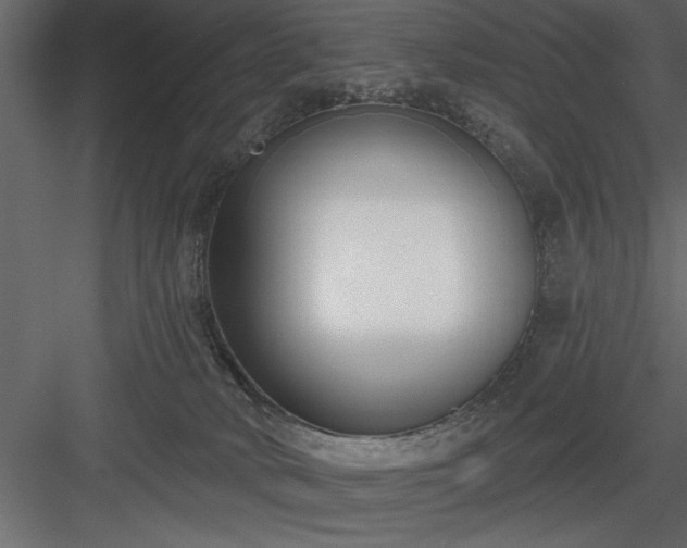 X0000083990034200702232123