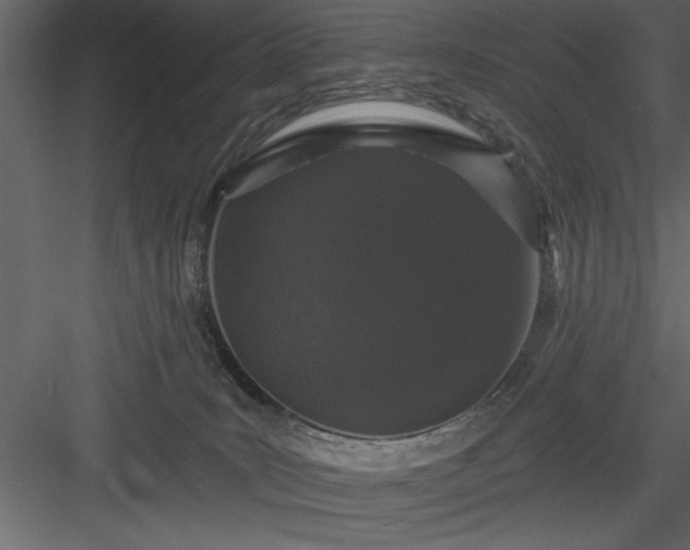 X0000083990035200702232123