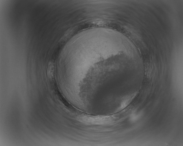 X0000083990036200702232123