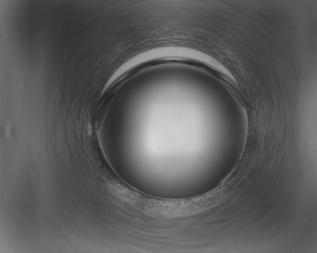 X0000083990037200702232123