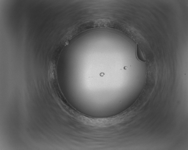 X0000083990038200702232123