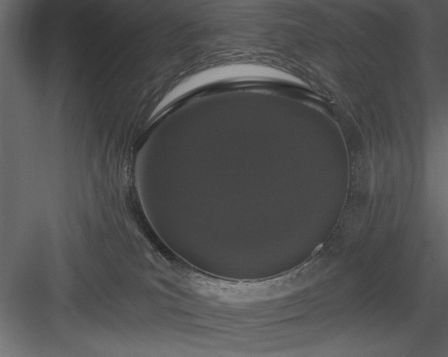 X0000083990039200702232123