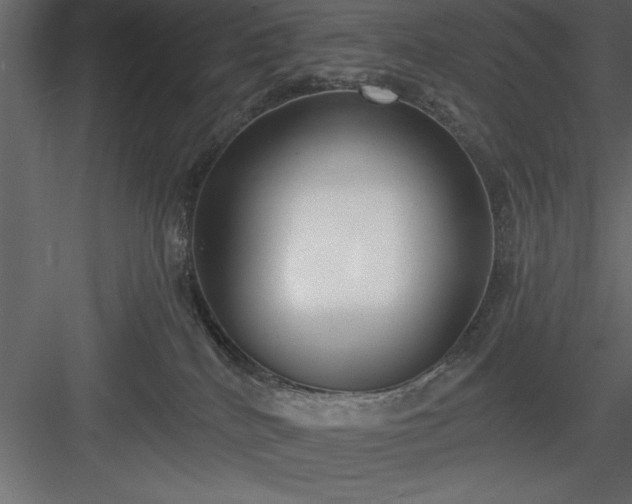 X0000083990040200702232123