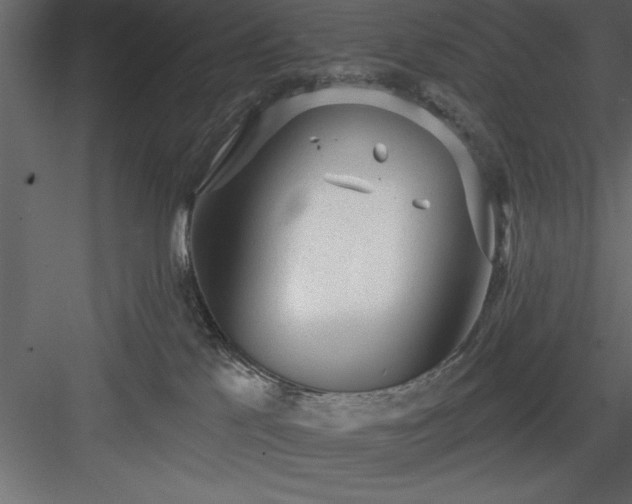 X0000083990041200702232123