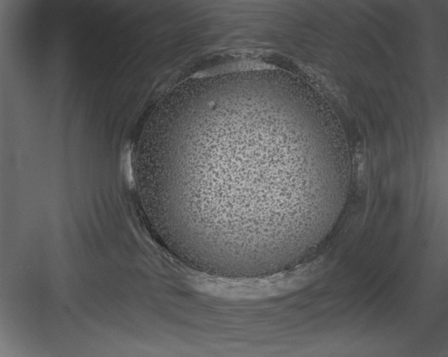 X0000083990042200702232123