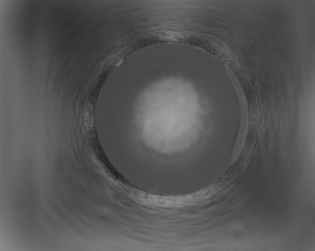 X0000083990043200702232123