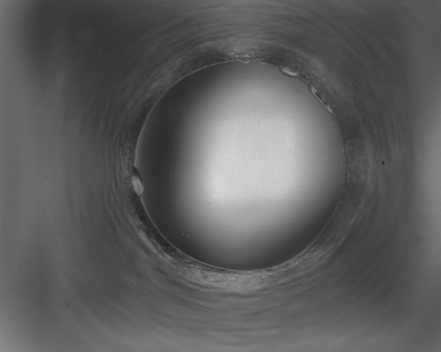 X0000083990044200702232123