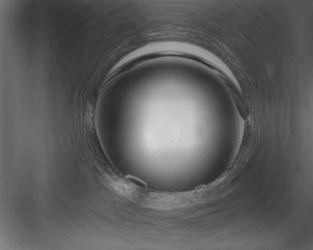 X0000083990045200702232123