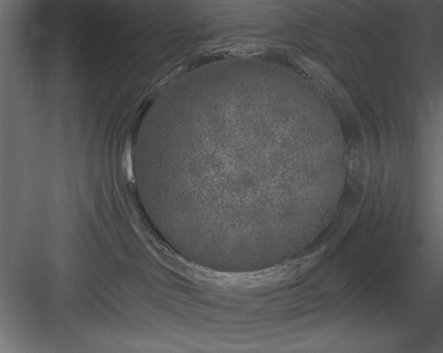 X0000083990046200702232123