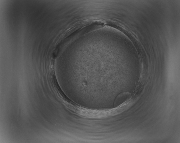 X0000083990048200702232123