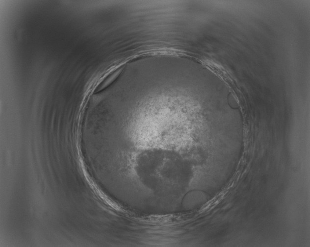 X0000083990049200702232122