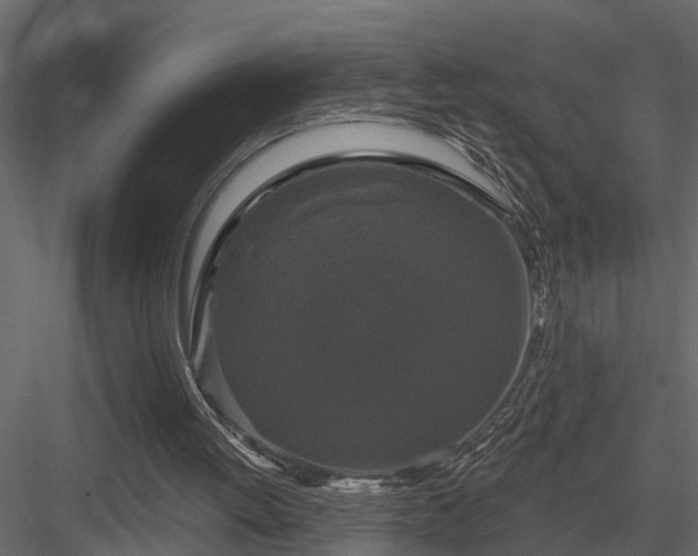 X0000083990052200702232122