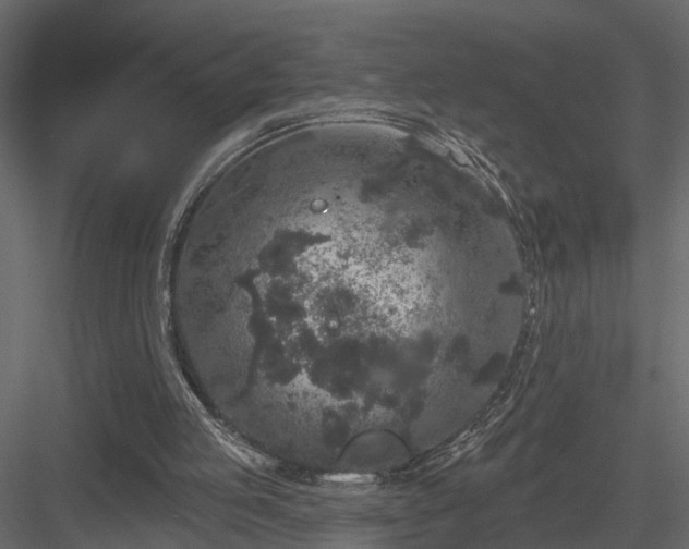 X0000083990053200702232122