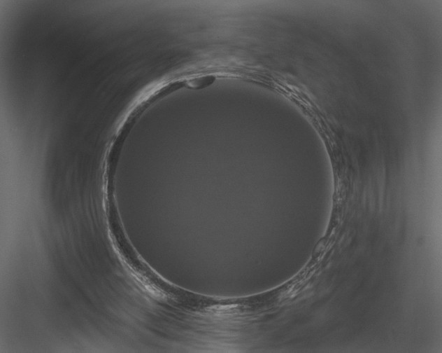 X0000083990054200702232122