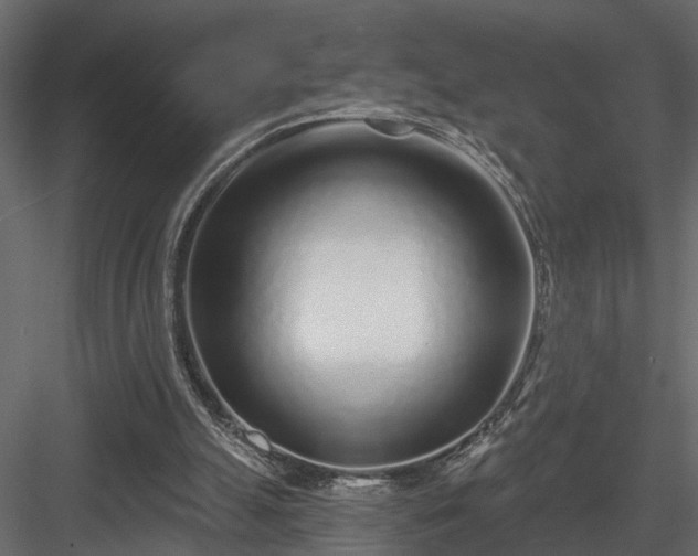 X0000083990055200702232122