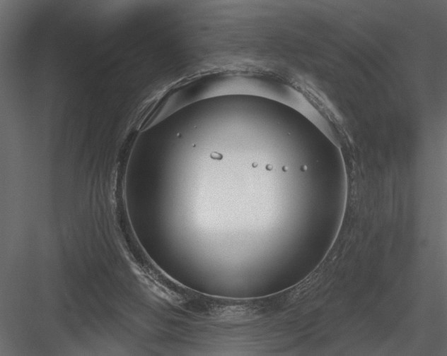 X0000083990058200702232122