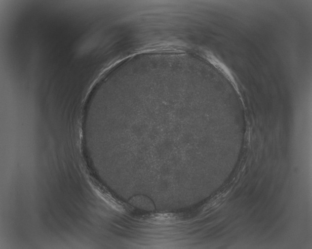 X0000083990059200702232122