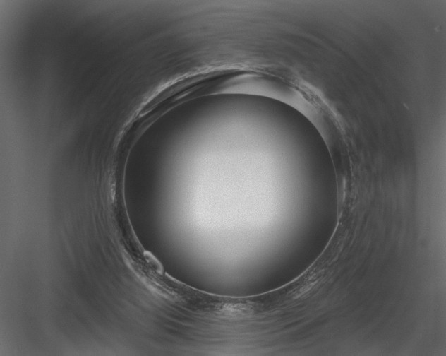 X0000083990060200702232122