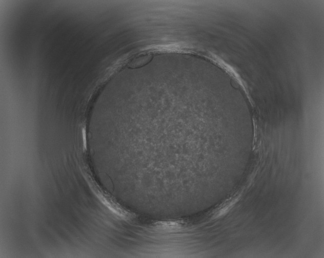 X0000083990061200702232122